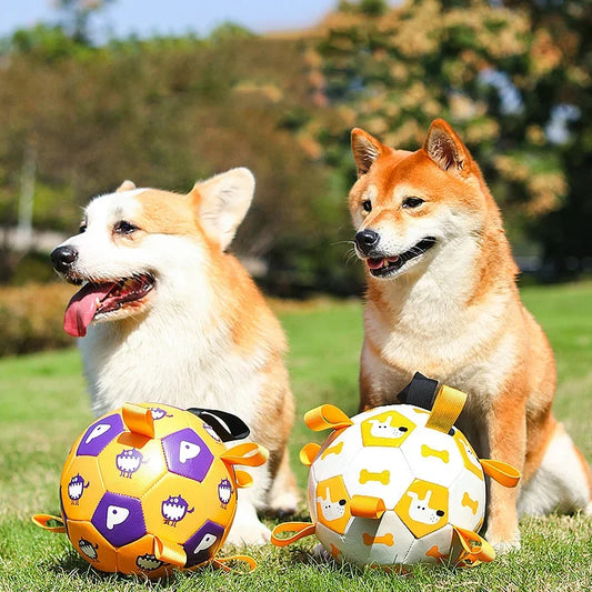 Interactive Soccer Dog Toy for Scratchy